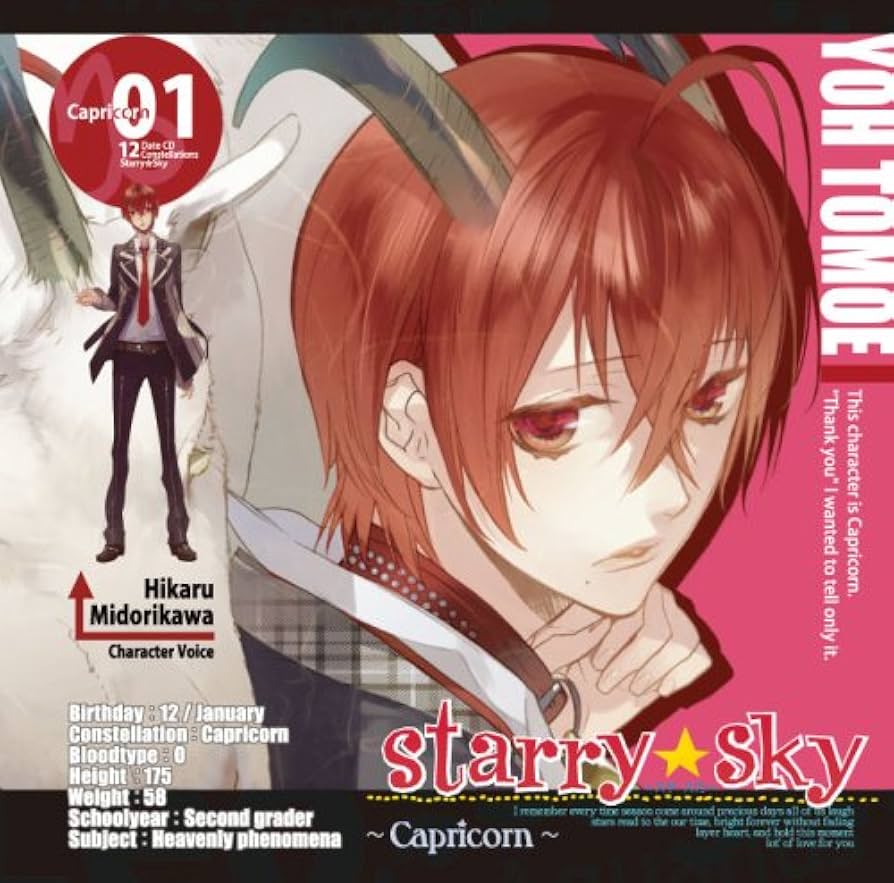 特別版星の物語シリーズ星座完結編初日カバー1枚 特別版星の物語シリーズ星座完結編初日カバー1枚 - メルカリ